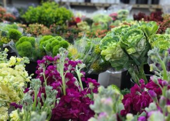 świeże kwiaty i materiały florystyczne