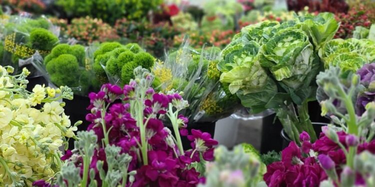 świeże kwiaty i materiały florystyczne